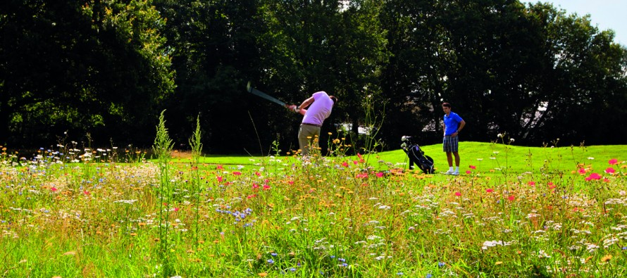 STRI launches workshop to support golf