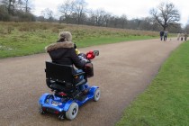 Club loses members after having to enforce buggy ban