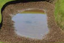 What is the golf rule if my ball lands in a puddle in a bunker?