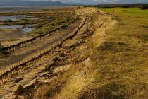 Pioneering golf project to stop coastal erosion
