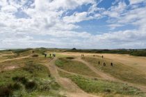 ‘Golf courses are so busy they might have to close for maintenance’