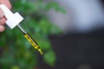 The benefits of CBD for golf players