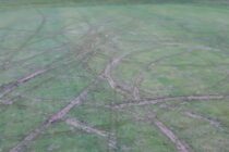 More golf clubs report vandalism to their properties