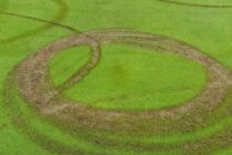 Course forced to close following ‘worst vandalism in decades’