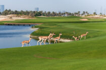 The golf courses receiving environmental recognition
