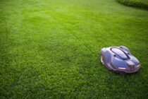 UK golf club ‘is first to be fully managed by robotic mowers’